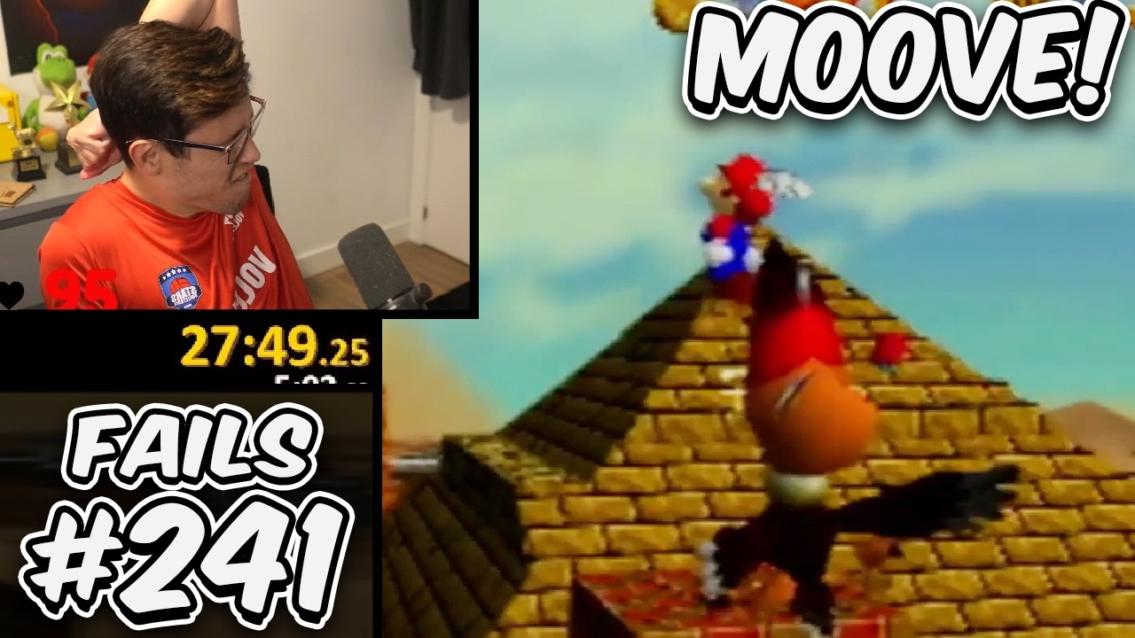 I lost the run to the bird DUDE  │ Fails In Speedrunning #241