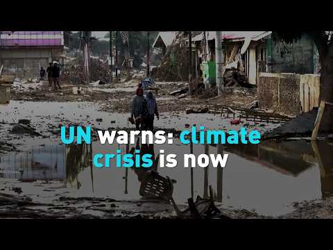 UN sounds climate alarm amid World Environment Day
