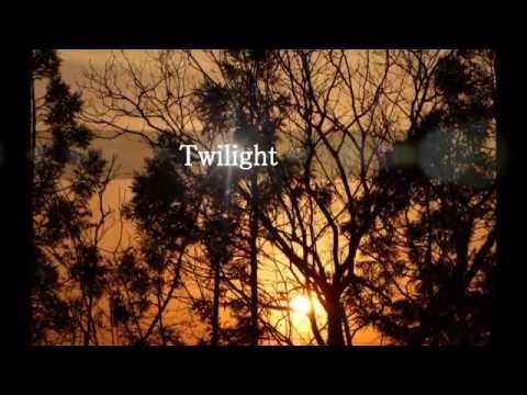 download lagu mp3 mp4 Twilight Is The Loneliest Time Of Day, download lagu Twilight Is The Loneliest Time Of Day gratis, unduh video klip Twilight Is The Loneliest Time Of Day