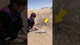 Download lagu Discovery of Hidden Treasures in the Desert #shorts mp3