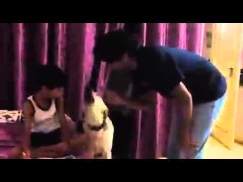 FUNNY VIDEO "DOG's LOVE -" Animals have more love towards us than humans!!
