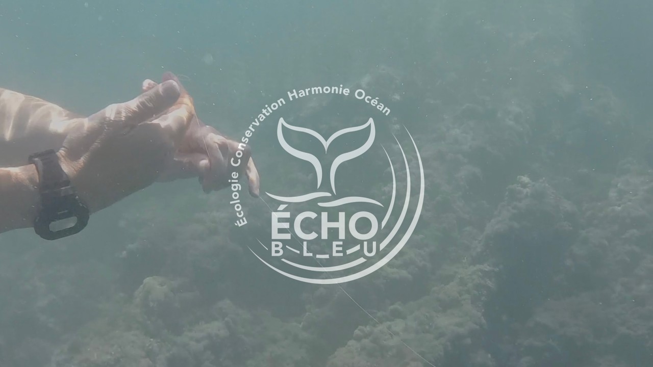 600 ans pour se dégrader. 3 minutes pour le remonter.