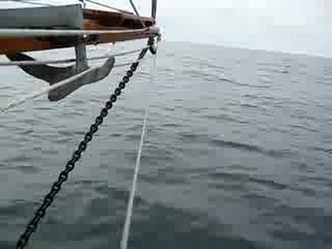 Porpoise show in Shelikof Strait