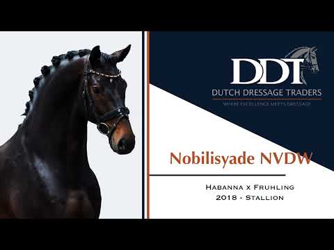 Nobilisyade NVDW