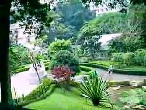 Happy Birthday for Dorcas ~ 10-08-2006