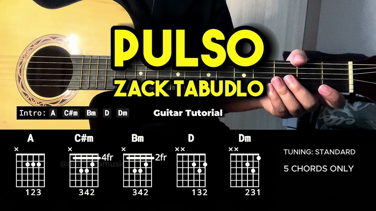 Pulso - Zack Tabudlo | Easy Guitar Chords Tutorial For Beginners (CHORDS & LYRICS) #guitarlessons