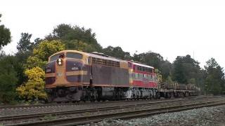 preview picture of video 'Aussie Bulldogs: Rail train at Heathcote Junction  Sun 07/08/11'