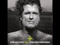 Carlos Vives - Mas Corazon Profundo, Un Pobre Loco