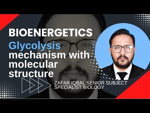 Glycolysis detailed explanation/ mechanism with molecular structure