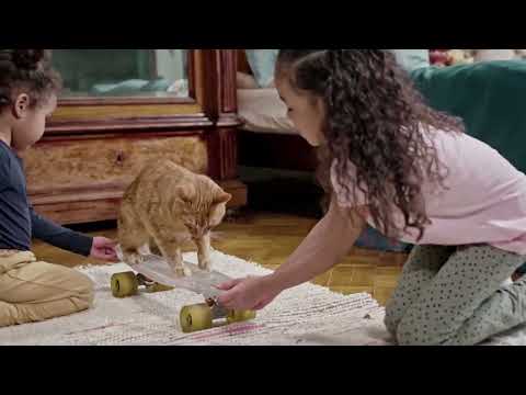 Os Gatinhos Mais Fofos da Net. Como é Bom Ver eles Brincando, A Natureza é Bela.