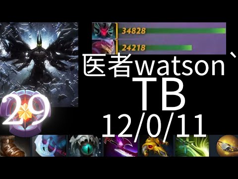 医者watson`  Terrorblade vs Slark, Rubick, OD, Undying, Visage - Tundra vs Entity g3 dota2