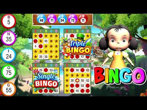 Bingo Play: Bingo Offline Fun Video