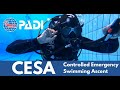 HOW TO perform a CONTROLLED EMERGENCY SWIMMING ASCENT (CESA) | PADI SCUBA SKILLS