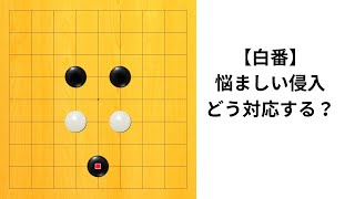 【9路】悩ましい黒の侵入｜囲碁クエスト実況｜白番｜対星