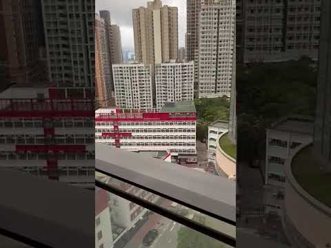 The Met. Focus Youtube Video