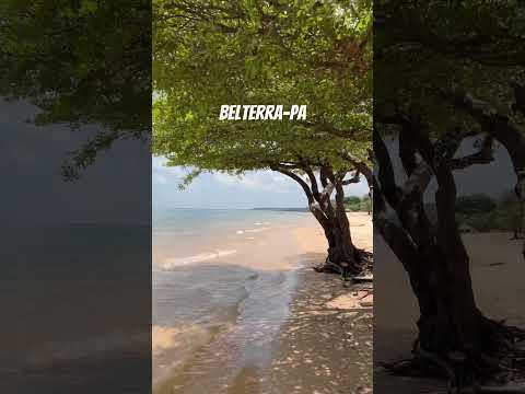 📍Praia do Aramanaí em Belterra no Pará. #pará #belterra #praia