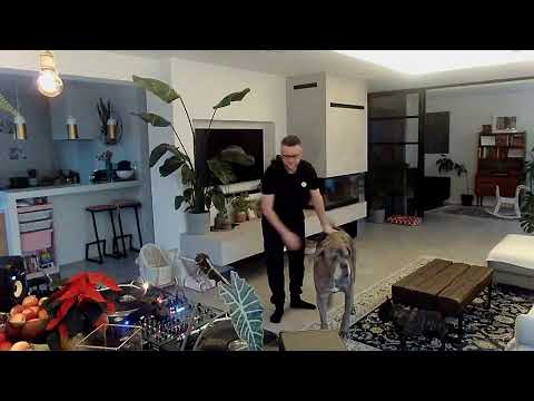 CATZ 'N DOGZ BRUNCH #18