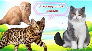 Download lagu 7 Kucing Berbulu Pendek Terlucu Yang Cocok untuk Pemula!! mp3