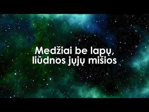 Medžiai be lapų - "Poliarizuoti stiklai" / karaoke su žodiais. Muzika ir žodžiai Šarūnas Mačiulis