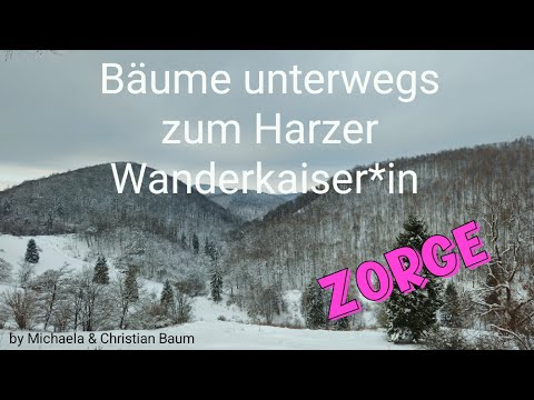 ☆Zorge☆ Rundwanderung: Stiefmutter-Hütte, Wendeleiche & Roter Schuss. HWN 164, 165 & 90