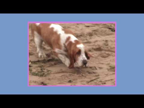 Edward Barton - Start Stop