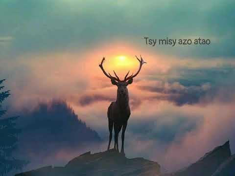 Sarak'Aina///Rij'Art