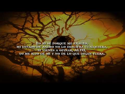 Tomy Lexus - Misantropía (con Xcéntrico HHC)