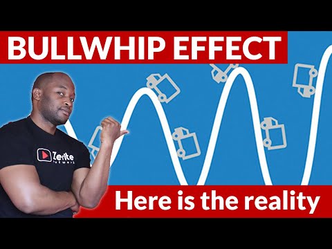 BULLWHIP EFFECT its causes and solutions