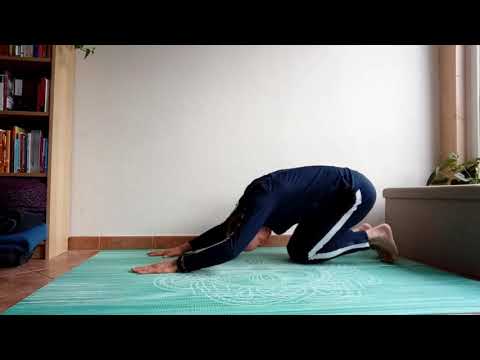 Perfekter Rückenflow von Stellung des Kindes bis Kobra und zurück