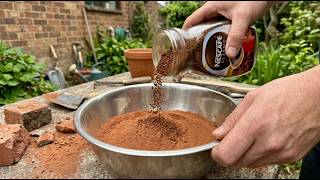 Don’t Tell Anyone! Mix NESCAFÉ With RED BRICK POWDER and See Results That Shocked Everyone!