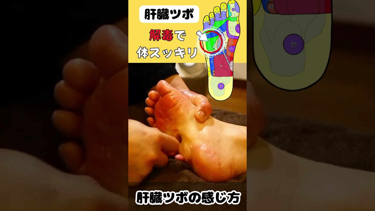 ４０代女性｜肝臓ツボの感じ方。。