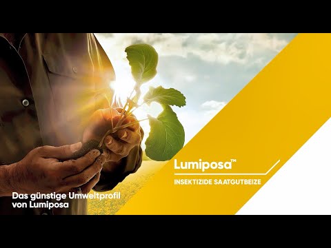 Das günstige Umweltprofil von Lumiposa, der insektiziden Saatgutbeize im Raps