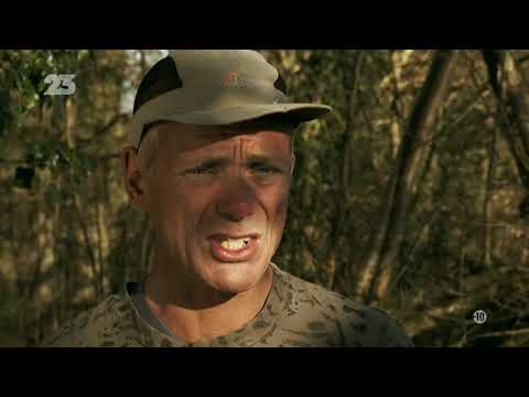 Un Dos Tres S01E02 : Le Brochet Alligator