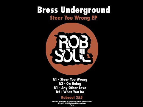 Bress Underground - Steer You Wrong (Original Mix)