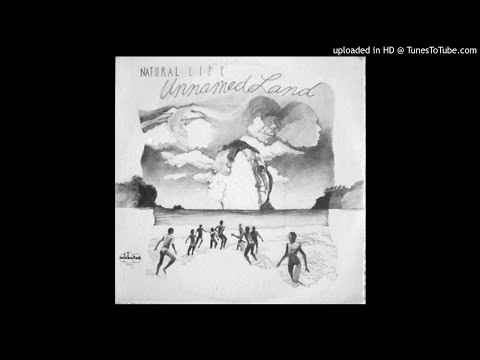 LYSERGICFUNK : Freeways - Natural Life