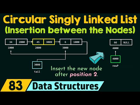 Learn Circular Singly Linked List Insertion between the Nodes - Mind Luster