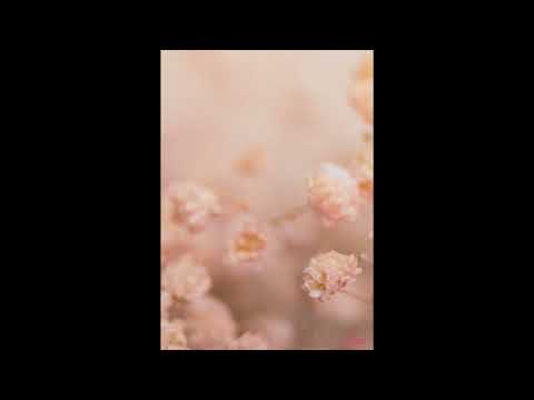 [WRP] Chiiild, Lucky Daye - Good For Now