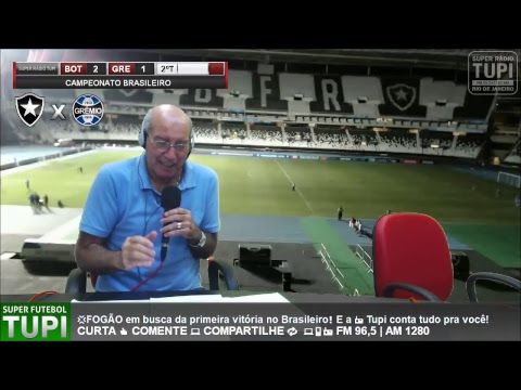 Botafogo 2 x 1  Grêmio - 3ª Rodada - Brasileirão - 28/04/2018