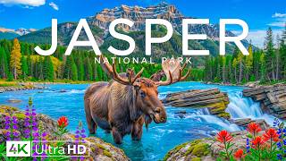 Jasper National Park 4K | Turquoise Lakes, Majestic Rockies & Untamed Wilderness