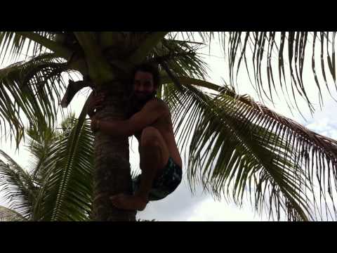 Raz Bin Sam, Vanuatu - The Exam...