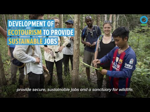 Wildlife Sanctuary Creates Sustainable Jobs in Cambodia