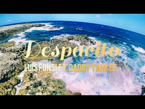 Despacito - Luis Fonsi ft. Daddy Yankee (Orchid Island Freediver Version) | English & Spanish Lyrics