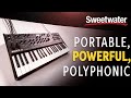 Sequential Take 5 Polyphonic Analog Synthesizer Demo Daniel Fisher