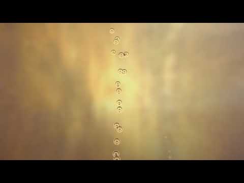 Gold status - Star Alliance