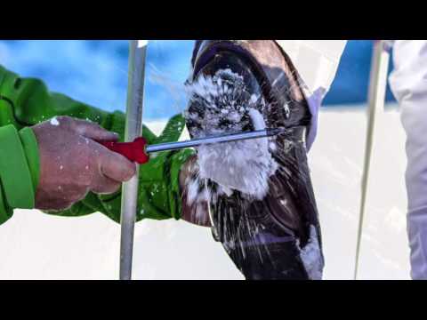 Intersport Rent Network VIP Skitest Männlichen 12./13.12.2015