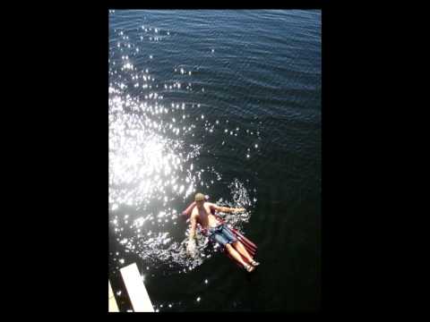 Vazelina Bilopphøggers - Blanke Mjøsa