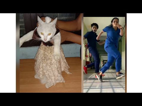 #Rasputin dance challang by dayana#Janaki # Naveen#Dayana#Shorts#