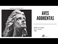 Amália Rodrigues - "Aves Agoirentas" (Audio, 1962)