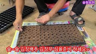 슬~슬 김장배추,김장무 심을준비 하세요 김장배추 무 심는시기,김장배추 무 파종시기 ,직파