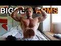 My New Training Plan, Chasing BIGGER Arms